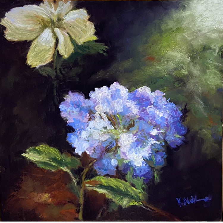 Collection: Garden of light