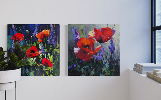 Collection:  A symphony of poppies